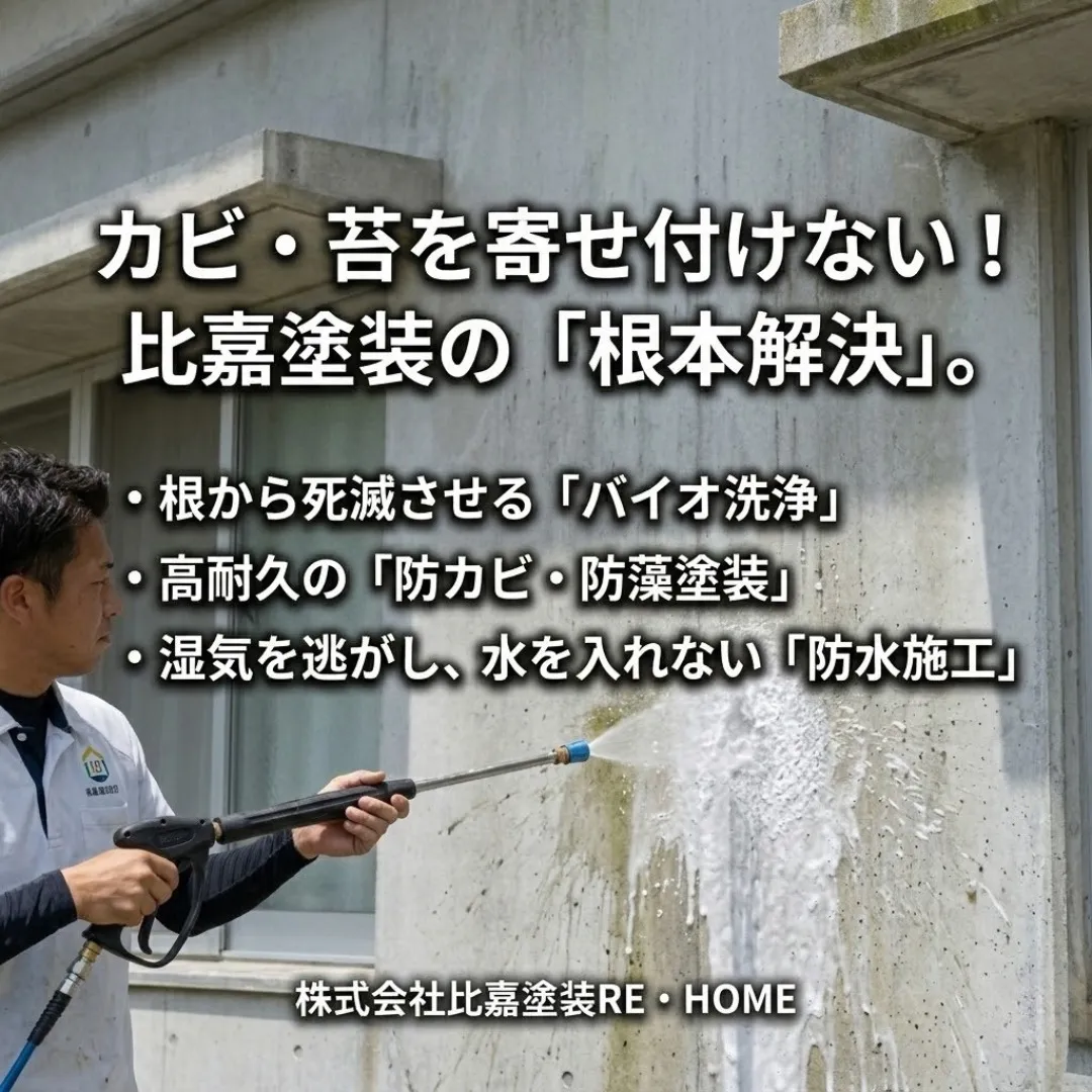 【その汚れ、カビ？それとも苔？放置厳禁のサインをプロが解説】