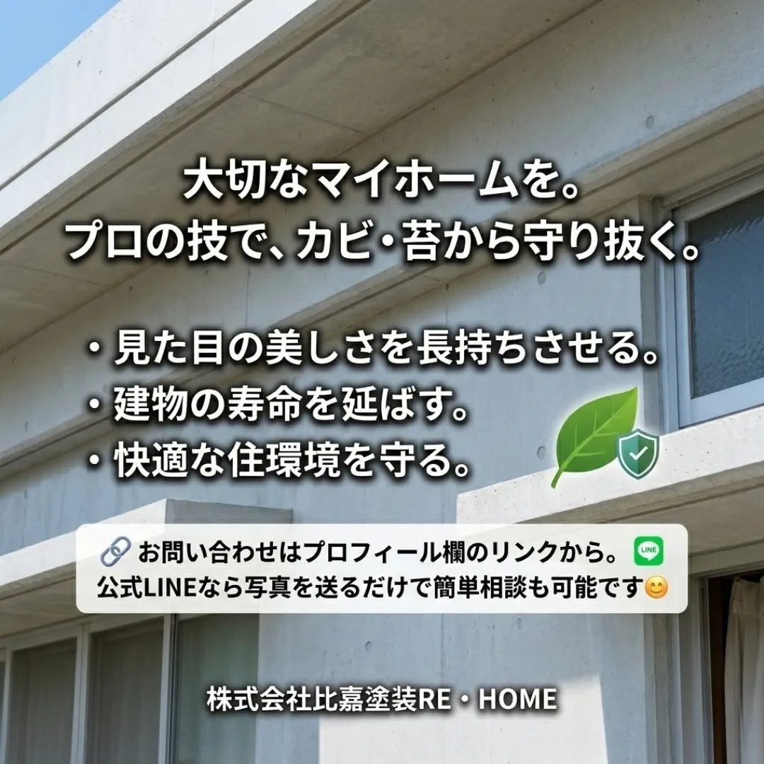 【その汚れ、カビ？それとも苔？放置厳禁のサインをプロが解説】
